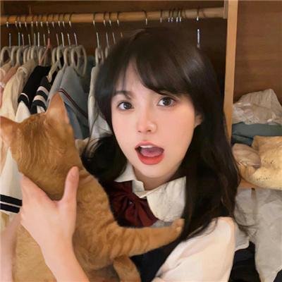 野狗在跳舞